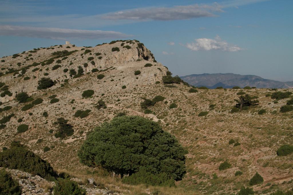 Alojamientos Rurales Cortijo Las Golondrinas Алама-де-Мурсія Екстер'єр фото