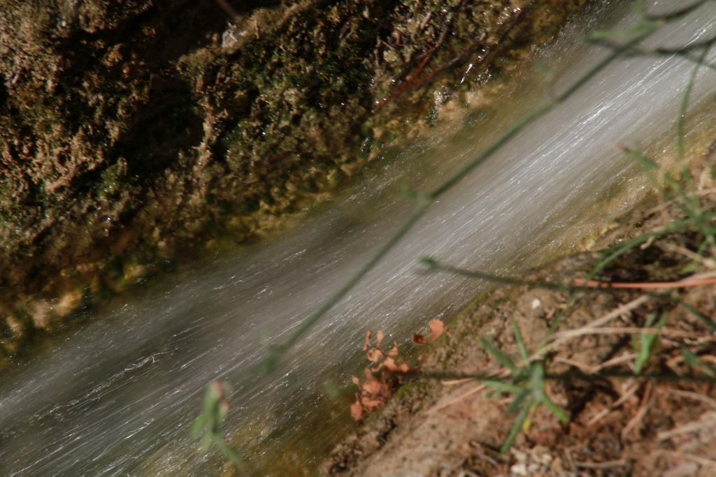 Alojamientos Rurales Cortijo Las Golondrinas Алама-де-Мурсія Екстер'єр фото